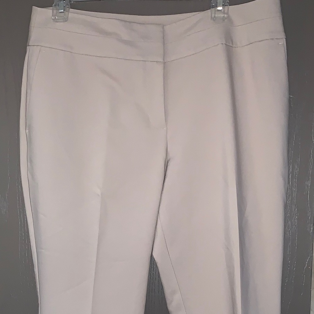 NWOT Ann Taylor Khaki Pants size 10 Curvy